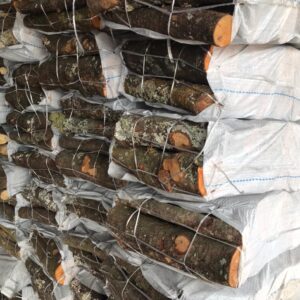 17a50020-b058-4867-aad8-d76c58e36f83